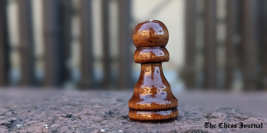 Chess Pawn Guide
